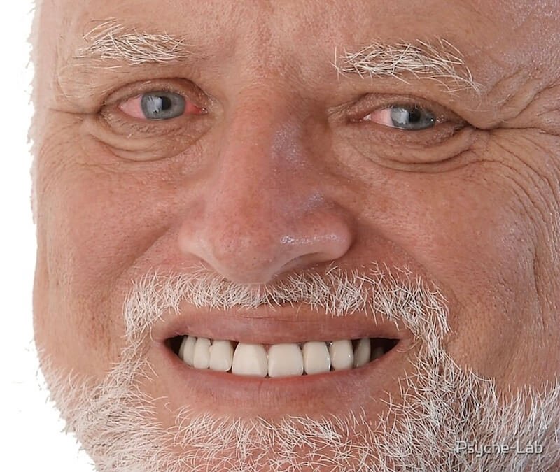 Hide the Pain Harold